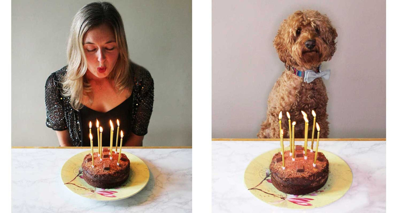 CELEBRATING 8 YEARS: We're still standing (Yeah, Yeah, Yeah!)